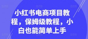 小红书电商项目教程，保姆级教程，小白也能简单上手-八爪鱼资源库