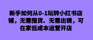新手如何从0-1玩转小红书店铺，无需囤货、无需出镜，可在家低成本运营开店-八爪鱼资源库