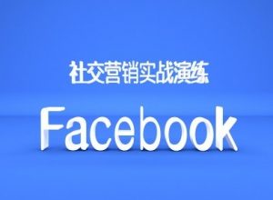 Facebook社交营销实战演练，外贸人绝对不能错过的营销推广平台-八爪鱼资源库