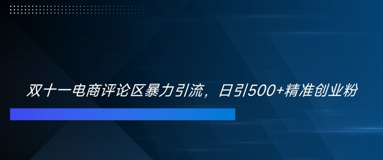 双十一电商评论区暴力引流，日引500+精准创业粉【揭秘】-八爪鱼资源库