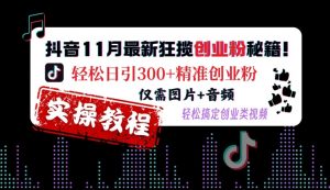抖音11月最新狂揽创业粉秘籍，轻松日引300+精准创业粉，仅需图片+音频，轻松搞定创业类视频-八爪鱼资源库