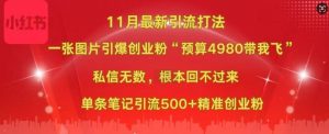小红书11月最新图片打粉,一张图片引爆创业粉,“预算4980带我飞”,单条引流500+精准创业粉-八爪鱼资源库