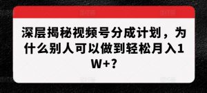 深层揭秘视频号分成计划，为什么别人可以做到轻松月入1W+?-八爪鱼资源库