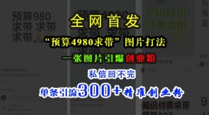 小红书“预算4980带我飞”图片打法,一张图片引爆创业粉,私信回不完,单条引流300+精准创业粉-八爪鱼资源库