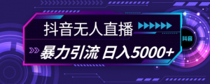 抖音快手视频号全平台通用无人直播引流法,利用图片模板和语音话术,暴力日引流100+创业粉【揭秘】-八爪鱼资源库