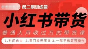 小Red书带货42天训练营 2.0版，宝妈+自由职+上班族+大学生，提高副业收入的大红利项目-八爪鱼资源库