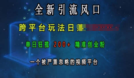 全新引流风口，跨平台玩法日入上k，单日狂揽200+精准创业粉，一个被严重忽略的视频平台-八爪鱼资源库
