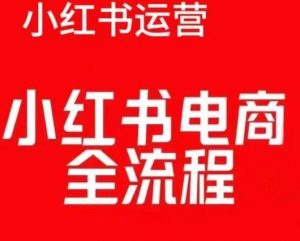 红薯电商实操课，小红书电商全流程-八爪鱼资源库