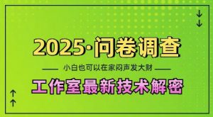 2025问卷调查最新工作室技术解密：一个人在家也可以闷声发大财，小白一天2张，可矩阵放大【揭秘】-八爪鱼资源库