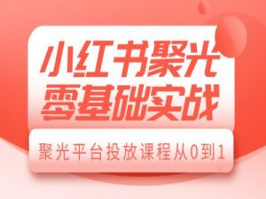 小红书聚光零基础实战,聚光平台投放课程从0到1-八爪鱼资源库