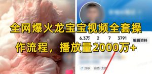 全网爆火龙宝宝视频全套操作流程，播放量2000万+-八爪鱼资源库