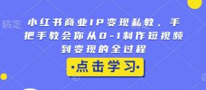 小红书商业IP变现私教，手把手教会你从0-1制作短视频到变现的全过程-八爪鱼资源库
