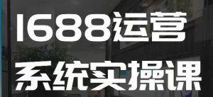 1688高阶运营系统实操课，快速掌握1688店铺运营的核心玩法-八爪鱼资源库