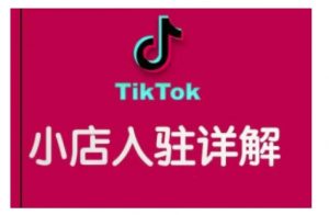 TikTok跨境小店运营全攻略,帮助你独立运营TK跨境小店的能力,实现销量增长-八爪鱼资源库