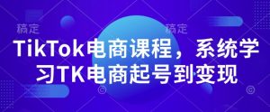TikTok电商课程,系统学习TK电商起号到变现-八爪鱼资源库