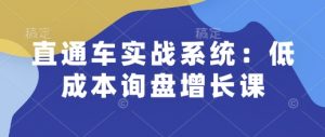 直通车实战系统:低成本询盘增长课,让个人通过技能实现升职加薪,让企业低成本获客,订单源源不断-八爪鱼资源库