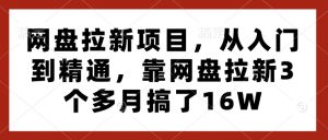 网盘拉新项目，从入门到精通，靠网盘拉新3个多月搞了16W-八爪鱼资源库