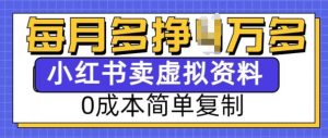 小红书虚拟资料项目，0成本简单复制，每个月多挣1W【揭秘】-八爪鱼资源库