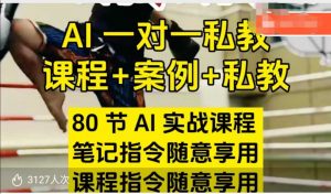 AI指令实战课，课程+案例，80节AI实战课程，笔记指令随意享用，课程指令随意享用-八爪鱼资源库
