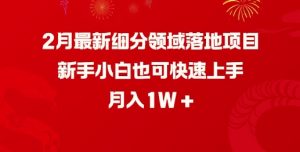 2月最新细分领域落地项目，新手小白也可快速上手，月入1W-八爪鱼资源库