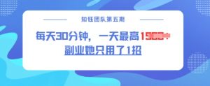 副业她只用了1招，每天30分钟，无脑二创，一天最高1.5k-八爪鱼资源库