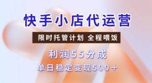 快手小店代运营3.0，模式新升级，收益55分，稳定单日5张【揭秘】-八爪鱼资源库