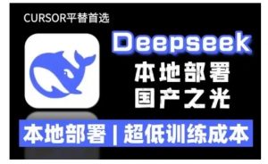 2025年deepseek R1 大型模型本地安装部署(文件+教程)本地部署，超低训练成本-八爪鱼资源库