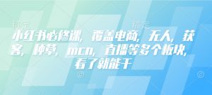 小红书必修课,覆盖电商,无人,获客,种草,mcn,直播等多个板块,看了就能干-八爪鱼资源库