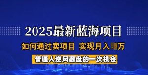 2025蓝海项目,普通人如何通过卖项目,实现月入过W,全过程【揭秘】-八爪鱼资源库