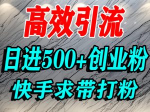 怎么打创业粉？快手求带视角精准引流创业粉，宝妈、学生群体日进500+精准流量-八爪鱼资源库