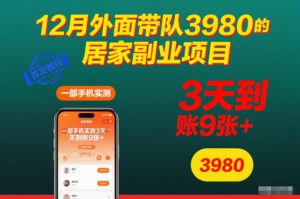 12月外面带队3980的居家副业项目，一部手机实测3天到账9张+，首发教程【揭秘】-八爪鱼资源库