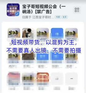 宝子哥头部团队短视频带货，以混剪为主，不需要真人出镜，不需要拍摄【更新12月】-八爪鱼资源库
