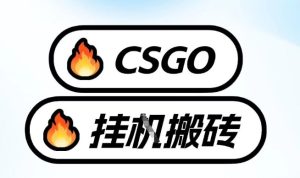 真全网独家CSGO挂G，最新玩法,单日捡漏1K+，不用电脑，不用打游戏【揭秘】-八爪鱼资源库