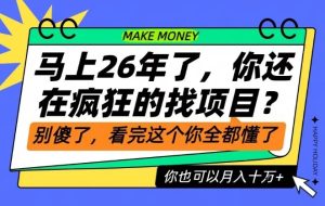 26年了，不要再疯狂的找项目了，看完这个你也可以月入十个W【揭秘】-八爪鱼资源库