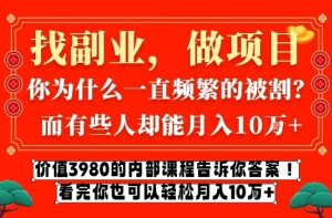 价值3980的网创内部课程，告诉你互联网创业月入10个W的秘密【揭秘】-八爪鱼资源库