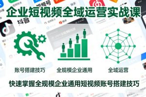 企业短视频全域运营实战课，快速掌握全规模企业通用短视频账号搭建技巧-八爪鱼资源库