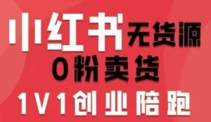 小红书无货源0粉电商课，开店准备、选品策略、笔记撰写、视频剪辑、数据分析、账号打造、资料文档（更新）-八爪鱼资源库