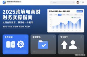 2025跨境电商财务实操指南，从后台到账本，算清每一分利润，系统讲解-案例实操-专业提升-八爪鱼资源库