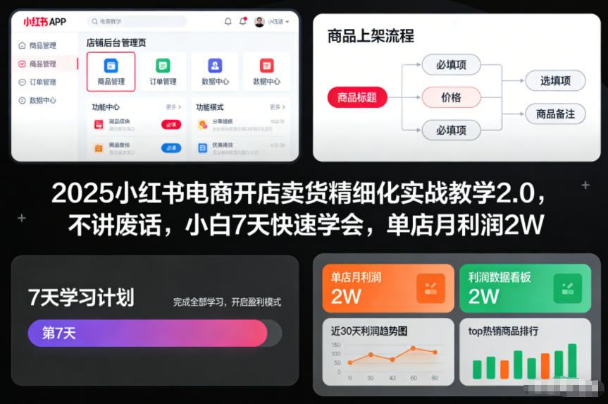 2025小红书电商开店卖货精细化实战教学2.0,不讲废话,小白7天快速学会,单店月利润2W-八爪鱼资源库