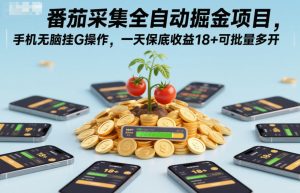番茄采集全自动掘金项目，手机无脑挂G操作，一天保底收益18+可批量多开【揭秘】-八爪鱼资源库