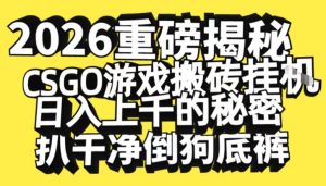 2026开年重磅解密，CSGO游戏搬砖挂G日入1k+的秘密，把倒狗的底裤扒干【揭秘】-八爪鱼资源库