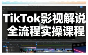 TikTok影视解说全流程实操，手把手教你打造TK爆款解说视频-八爪鱼资源库