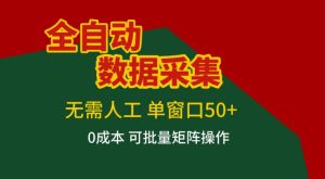 全自动数据采集,无需人工,单窗口50+,0成本可批量矩阵操作【揭秘】-八爪鱼资源库