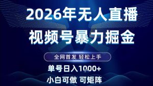 2026最新视频号无人直播掘金，全网首发，小白可以玩，长期稳定日入1k+【揭秘】-八爪鱼资源库