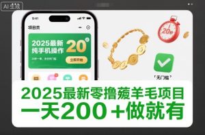 2025最新零撸薅羊毛项目，纯手机操作，20秒一单，无任何门槛，一天200+做就有【揭秘】-八爪鱼资源库