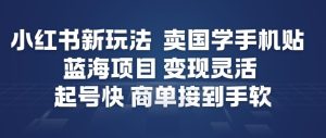 小红书新玩法，卖国学手机贴，蓝海项目，变现灵活，起号快，商单接到手软-八爪鱼资源库