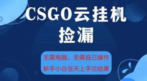 CSGO云挂G全自动捡漏，最新独家玩法，无需电脑操作，新手小白日入5张+【揭秘】-八爪鱼资源库