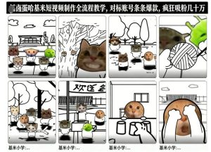 卤蛋哈基米短视频制作全流程教学，条条爆款，疯狂吸粉几十万-八爪鱼资源库