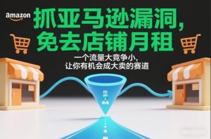 抓亚马逊漏洞，免去店铺月租，一个流量大竞争小，让你有机会成大卖的赛道-八爪鱼资源库
