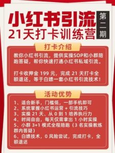 小红书引流21天打卡训练营第二期，助你快速打通小红书私域引流打粉-八爪鱼资源库